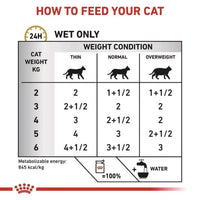 Royal Canin Veterinary Diet Urinary S/O Wet Cat Food - 85g