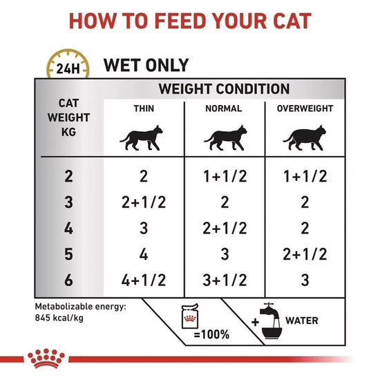 Royal Canin Veterinary Diet Urinary S/O Wet Cat Food - 85g