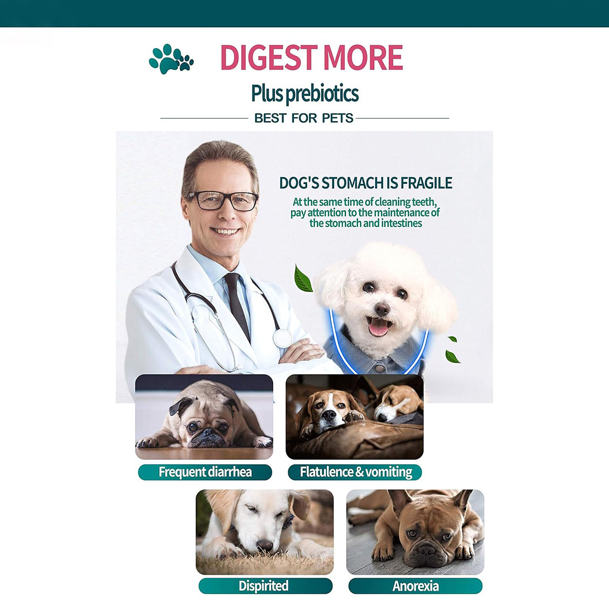 Gnawlers Digest More Plus Prebiotics Dental Dog Treats and Chews - 525g