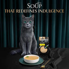 Sheba Soup with Chicken Adult Wet Cat Food - 160g (4 x 40g)