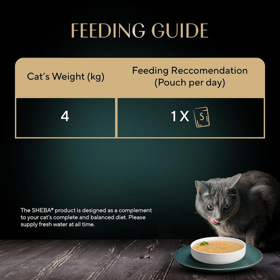 Sheba Soup with Chicken Adult Wet Cat Food - 160g (4 x 40g)