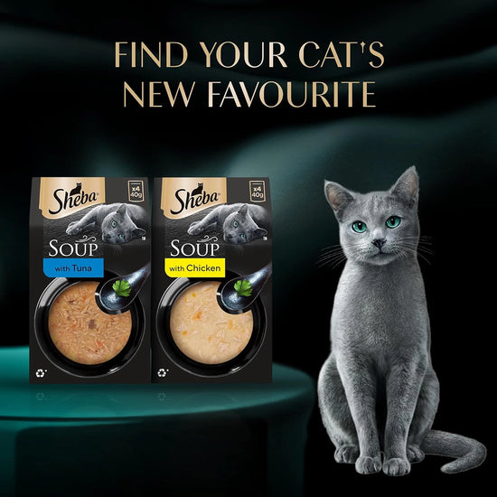 Sheba Soup with Chicken Adult Wet Cat Food - 160g (4 x 40g)