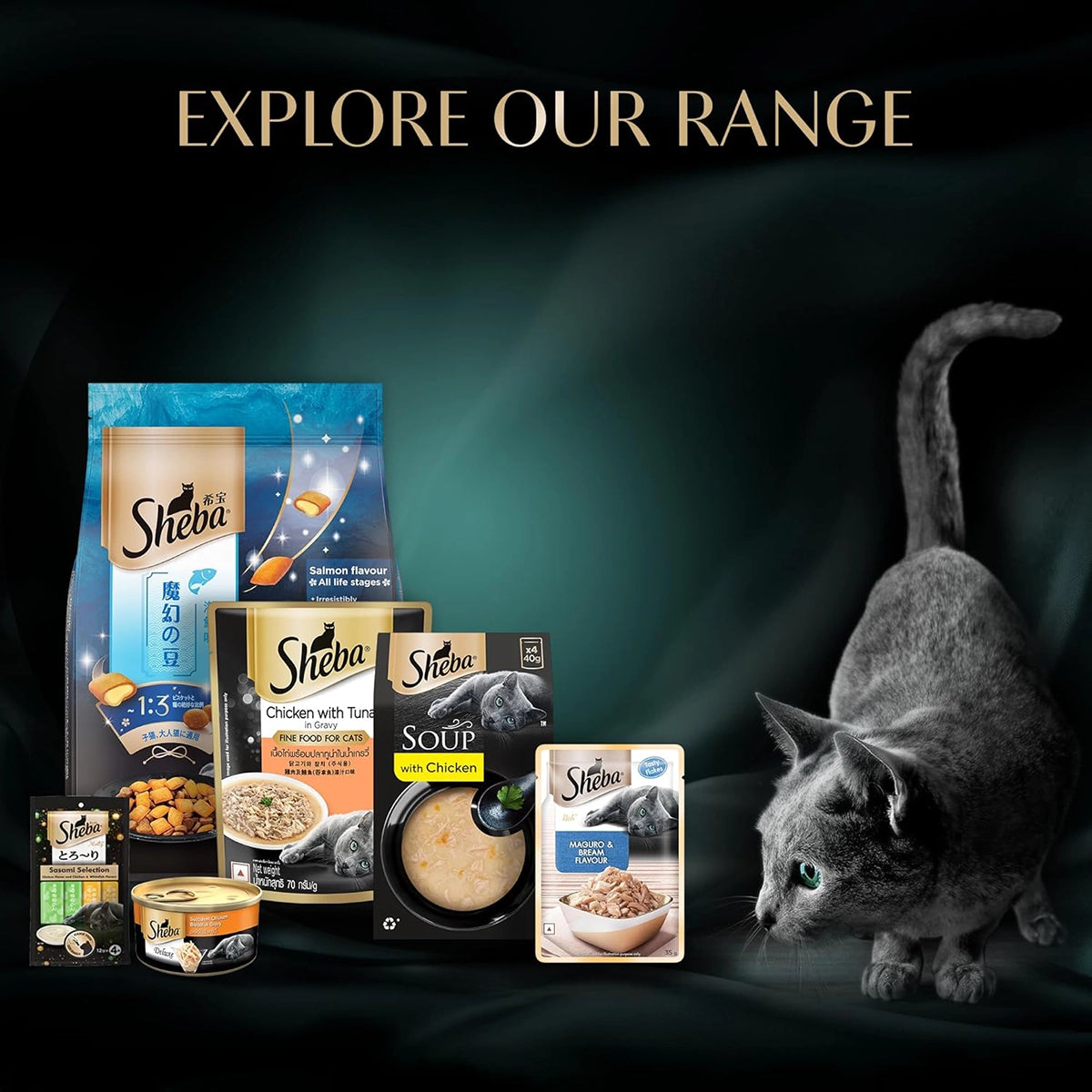 Sheba Soup with Chicken Adult Wet Cat Food - 160g (4 x 40g)
