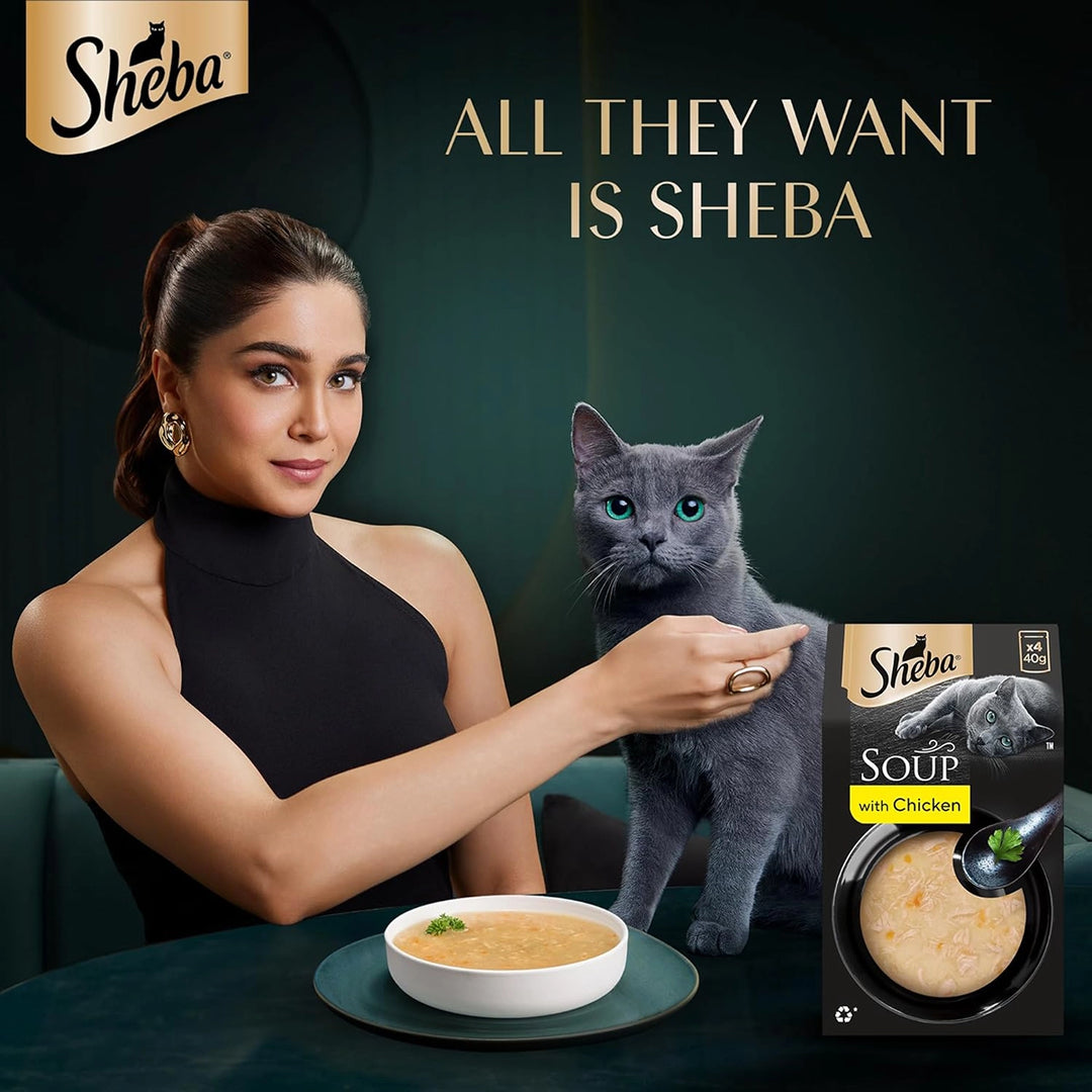 Sheba Soup with Chicken Adult Wet Cat Food - 160g (4 x 40g)