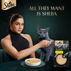 Sheba Soup with Chicken Adult Wet Cat Food - 160g (4 x 40g)