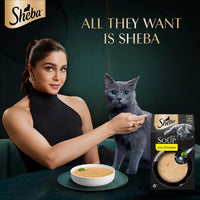 Sheba Soup with Chicken Adult Wet Cat Food - 160g (4 x 40g)