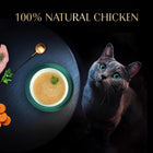 Sheba Soup with Chicken Adult Wet Cat Food - 160g (4 x 40g)
