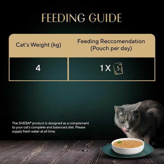 Sheba Soup with Tuna Adult Wet Cat Food - 160g (4 x 40g)