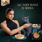 Sheba Soup with Tuna Adult Wet Cat Food - 160g (4 x 40g)