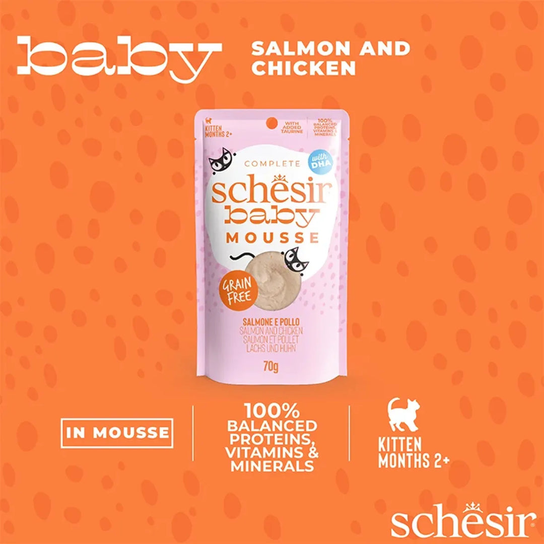 Schesir Baby Cat Mousse Salmon and Chicken Wet Cat Food - 70g