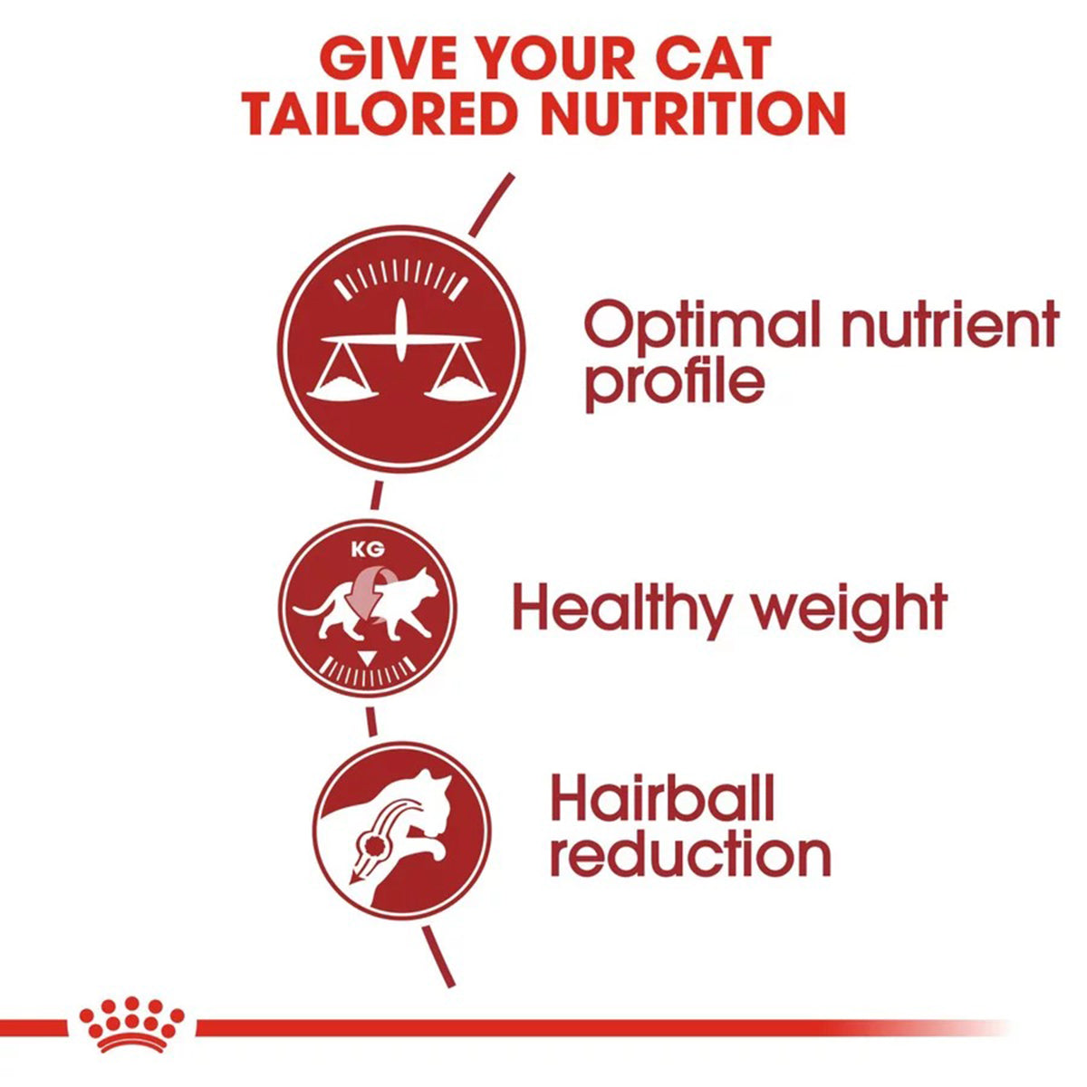 Royal Canin Fit 32 Dry Cat Food - All Breed Adult
