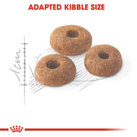 Royal Canin Fit 32 Dry Cat Food - All Breed Adult