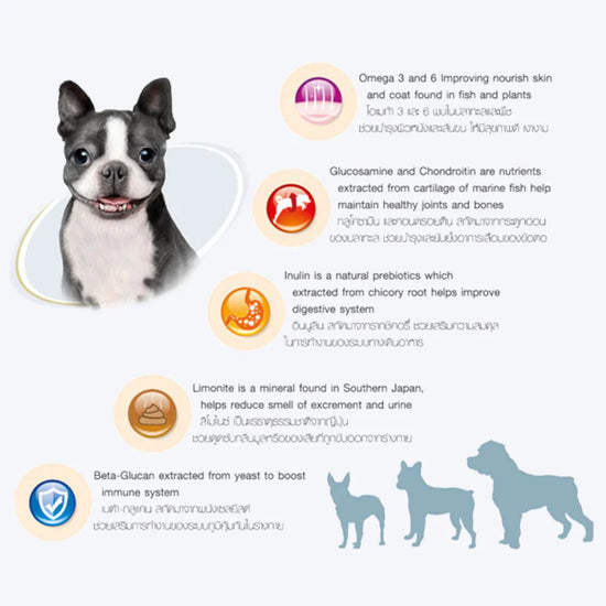 jerhigh-meat-as-meal-salmon-recipe-soft-dog-food-45g