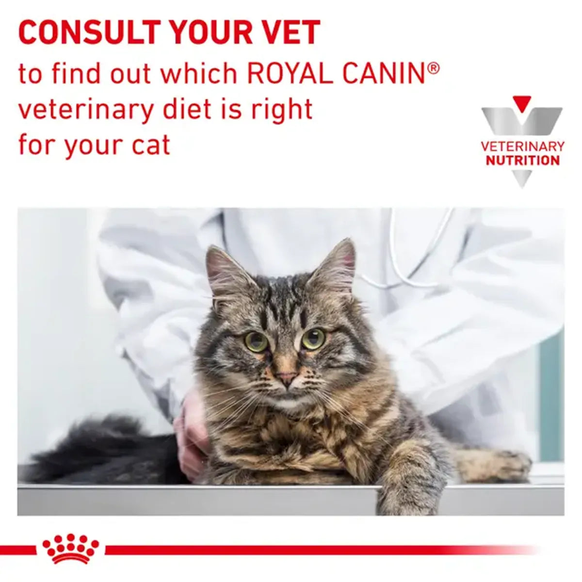 Royal Canin Veterinary Diet Gastrointestinal S/O Index Cat Food