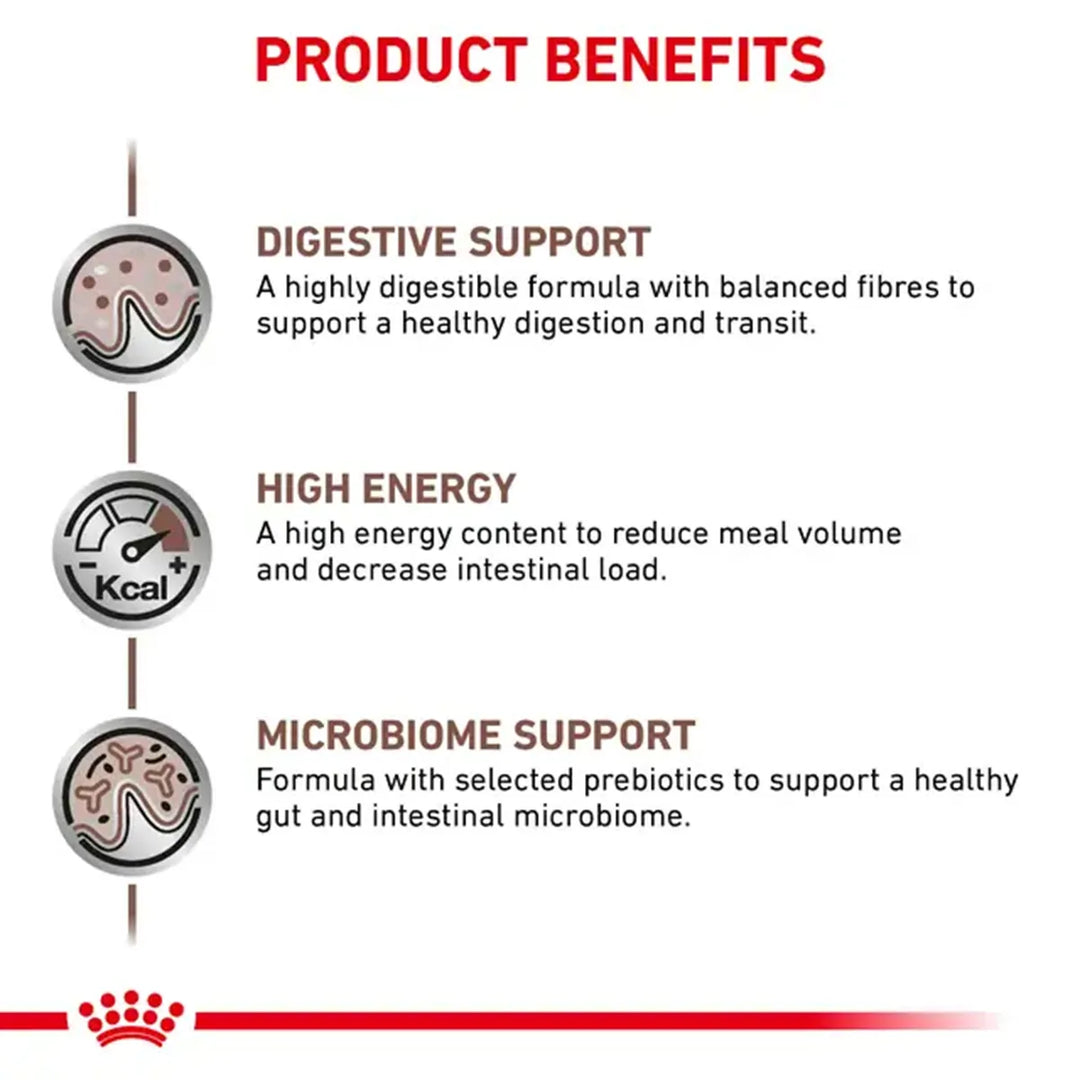 Royal Canin Veterinary Diet Gastrointestinal S/O Index Cat Food