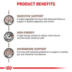 Royal Canin Veterinary Diet Gastrointestinal S/O Index Cat Food
