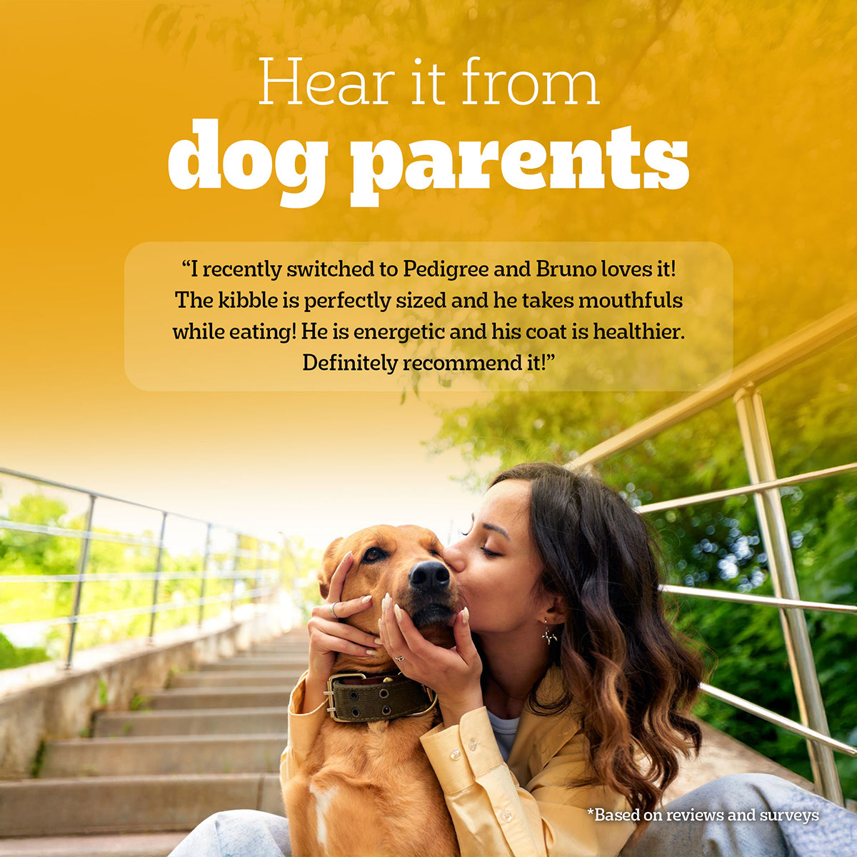 Pedigree Vegetarian Dry Dog Food - All Breed Puppy & Adult - 2.8kg