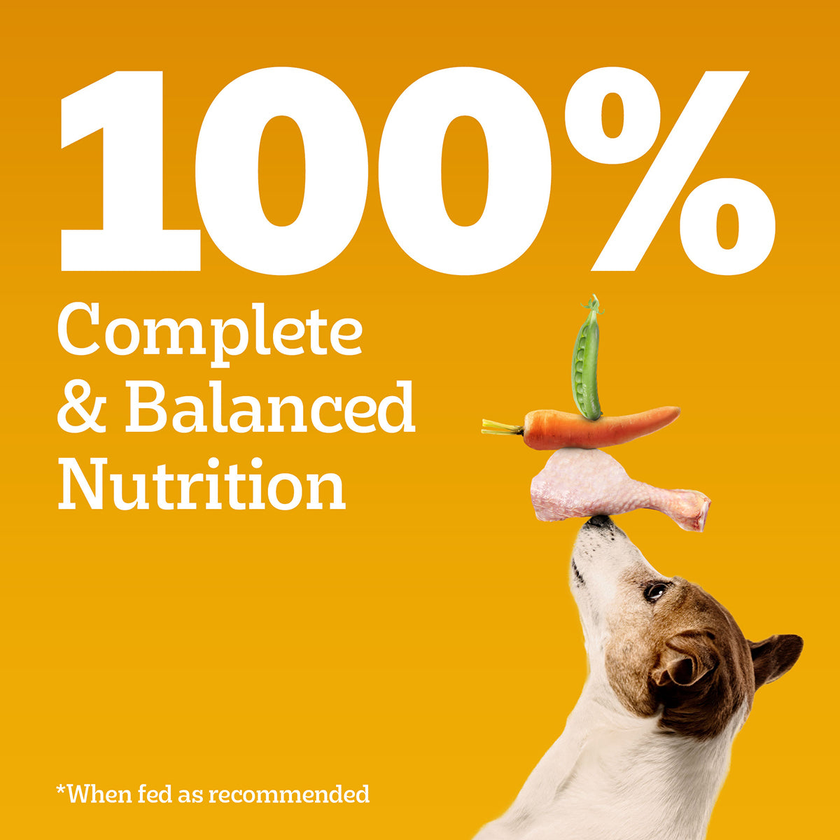 Pedigree Vegetarian Dry Dog Food - All Breed Puppy & Adult - 2.8kg