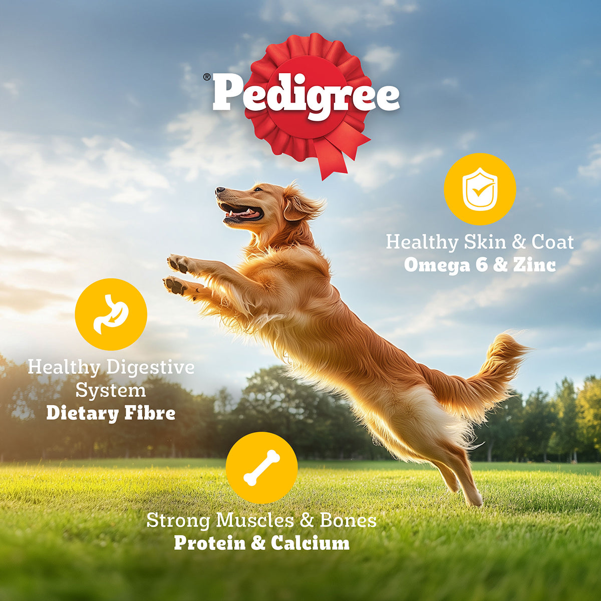 Pedigree Vegetarian Dry Dog Food - All Breed Puppy & Adult - 2.8kg