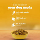 Pedigree Vegetarian Dry Dog Food - All Breed Puppy & Adult - 2.8kg - Zigly