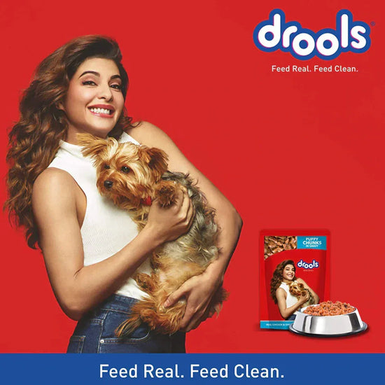 Drools Real Chicken & Chicken Liver Chunks in Gravy Wet Puppy food - 150g - Zigly