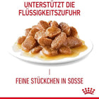 Royal Canin Hair & Skin Wet Cat Food - All Breed Adult - 85g - Zigly