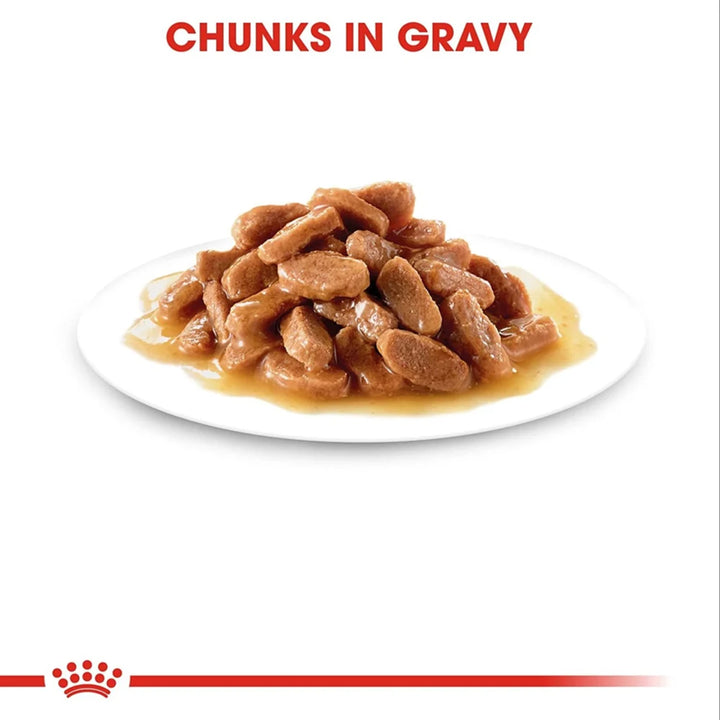 Royal Canin Kitten Gravy-Salsa Instinctive Pack Wet Cat Food - All Breed - 85g