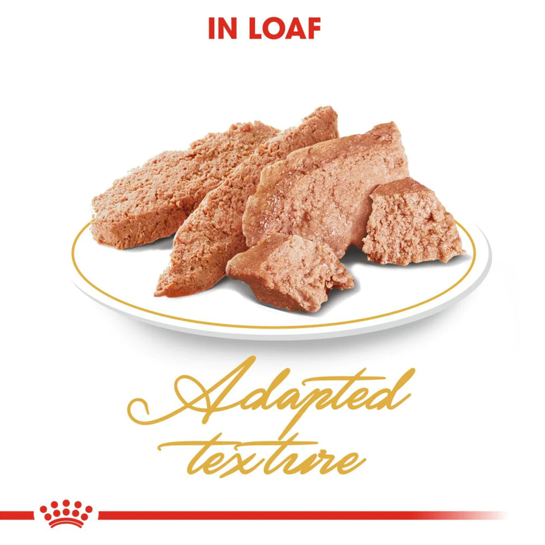 Royal Canin Persian Adult Wet Cat Food - 85g