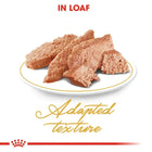 Royal Canin Persian Adult Wet Cat Food - 85g - Zigly