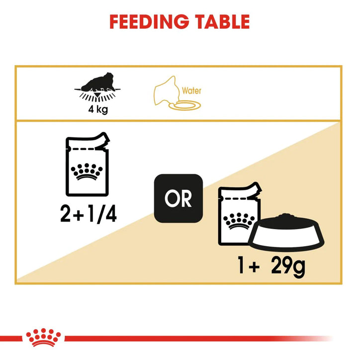 Royal Canin Persian Adult Wet Cat Food - 85g
