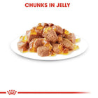 Royal Canin Kitten Instinctive Jelly Wet Cat Food - All Breed - 85g - Zigly