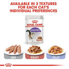 Royal Canin Sterilised Wet Cat Food - All Breed Adult - 85g - Zigly