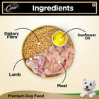 Cesar Gourmet (1+ Years) Lamb & Vegetables Flavour Wet Dog Food - All Breed Adult - 100g - Zigly