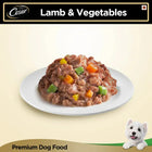 Cesar Gourmet (1+ Years) Lamb & Vegetables Flavour Wet Dog Food - All Breed Adult - 100g - Zigly