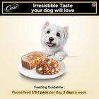 Cesar Salmon & Potato Flavour Wet Dog Food - All Breed Adult - 100g - Zigly