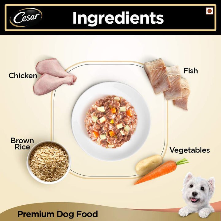 Cesar Salmon & Potato Flavour Wet Dog Food - All Breed Adult - 100g