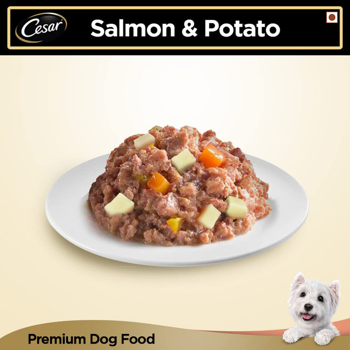 Cesar Salmon & Potato Flavour Wet Dog Food - All Breed Adult - 100g