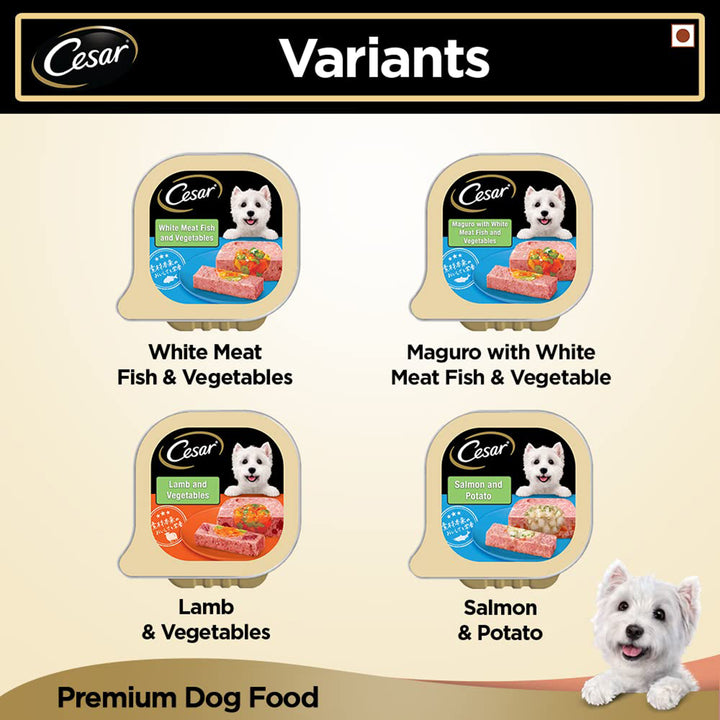 Cesar Salmon & Potato Flavour Wet Dog Food - All Breed Adult - 100g
