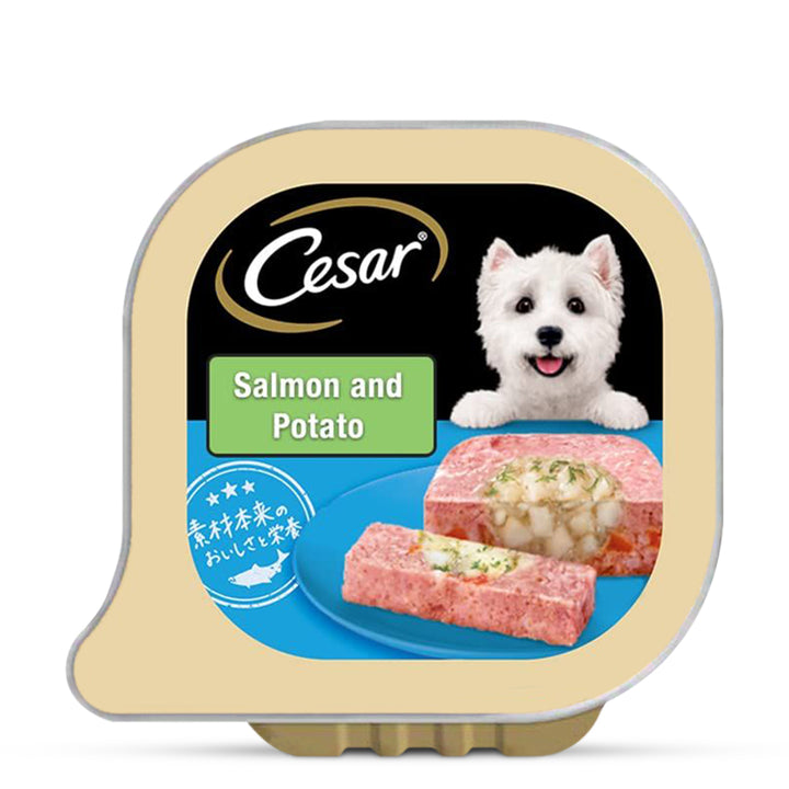 Cesar Salmon & Potato Flavour Wet Dog Food - All Breed Adult - 100g