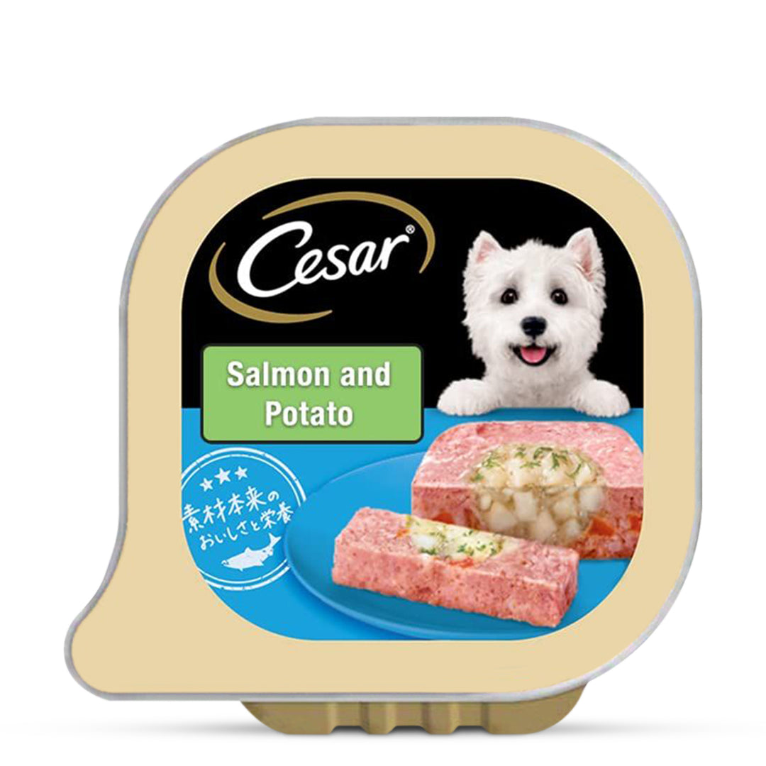 Cesar Salmon & Potato Flavour Wet Dog Food - All Breed Adult - 100g