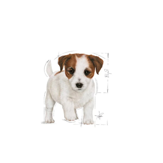 royal-canin-mini-puppy-wet-dog-food-85g