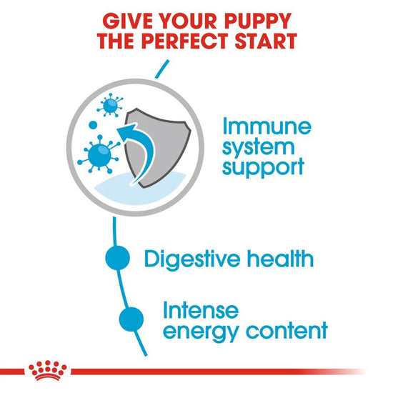 royal-canin-mini-puppy-wet-dog-food-85g