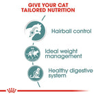 Royal Canin Hairball Care Wet Cat Food - All Breed Adult - 85g - Zigly