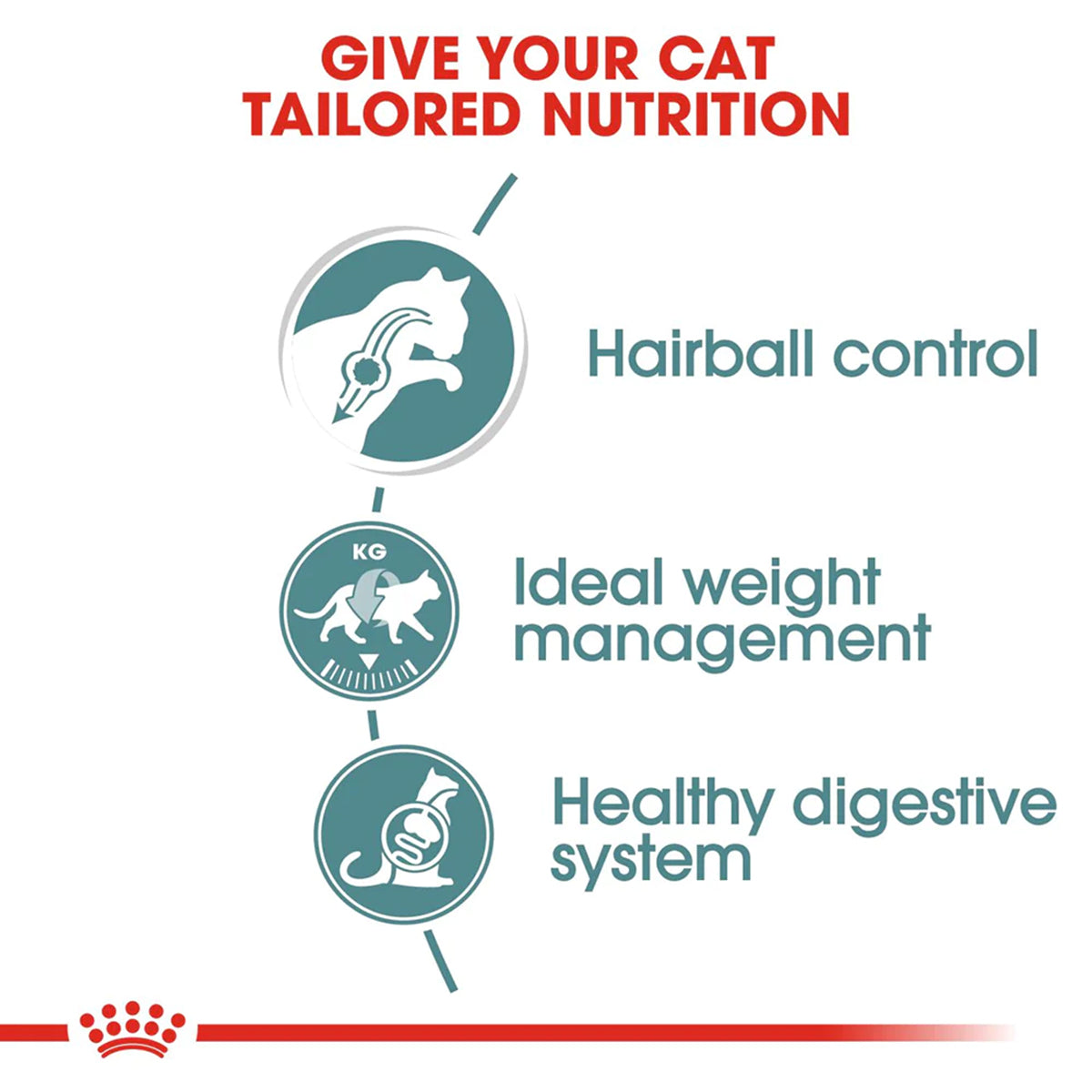 Royal Canin Hairball Care Wet Cat Food - All Breed Adult - 85g