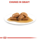 Royal Canin Maxi Adult Wet Dog Food 140g - Zigly