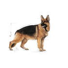 Royal Canin Maxi Adult Wet Dog Food 140g - Zigly