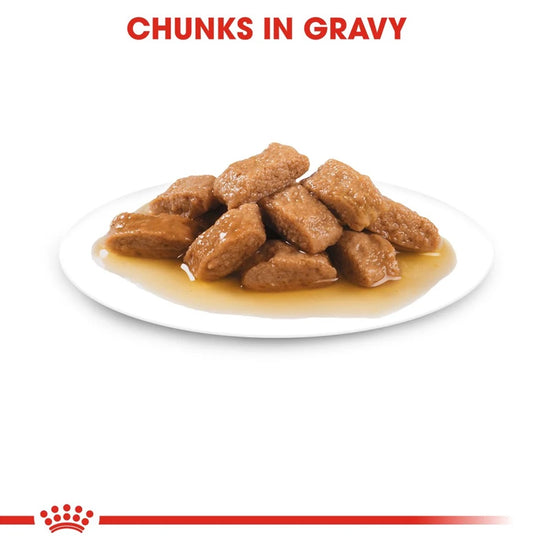 royal-canin-medium-adult-140g