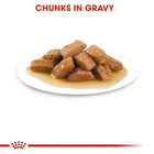 Royal Canin Medium Adult Wet Dog Food - 140g - Zigly
