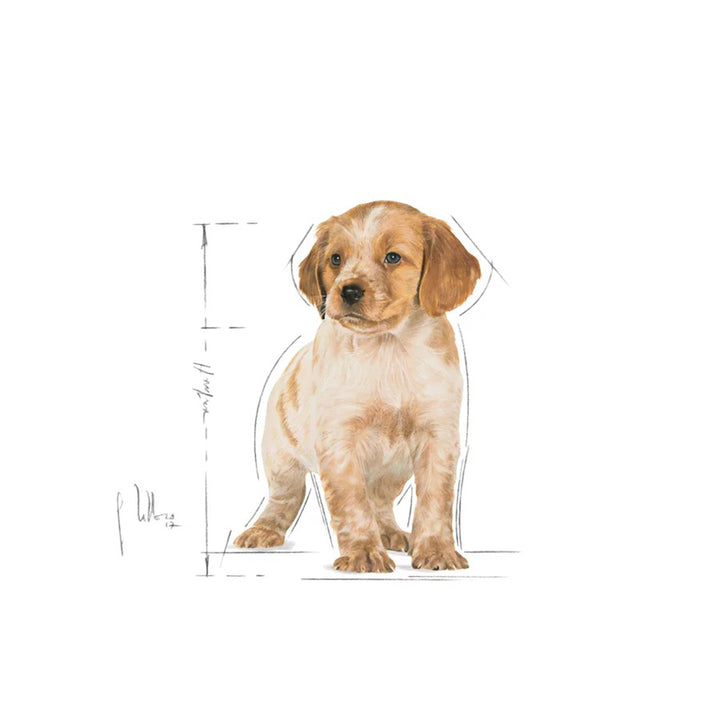Royal Canin Medium Puppy Wet Dog Food 140g