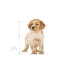 Royal Canin Medium Puppy Wet Dog Food 140g - Zigly
